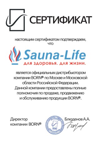 Электрическая печь BORN Line Black 90E, 9 кВт